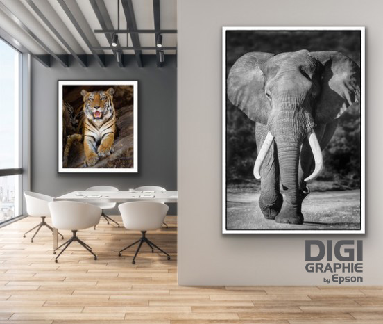 Laboratoire de tirage d'art et impression photo sur papier Fine Art Lille